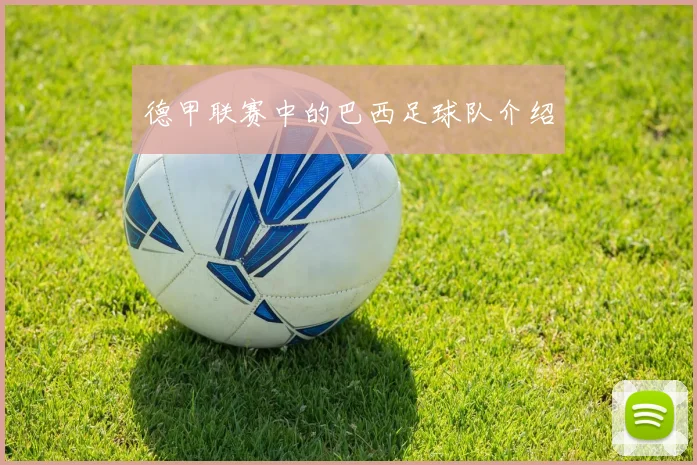 德甲联赛中的巴西足球队介绍