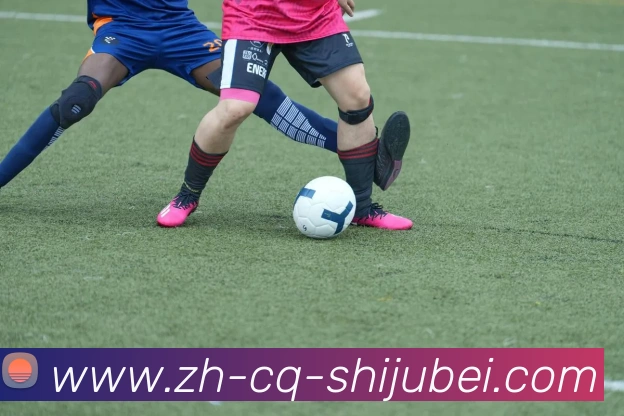 世界杯赛程表平台生态图